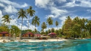Pulau Asu