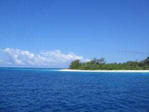 Pulau Nus Eden