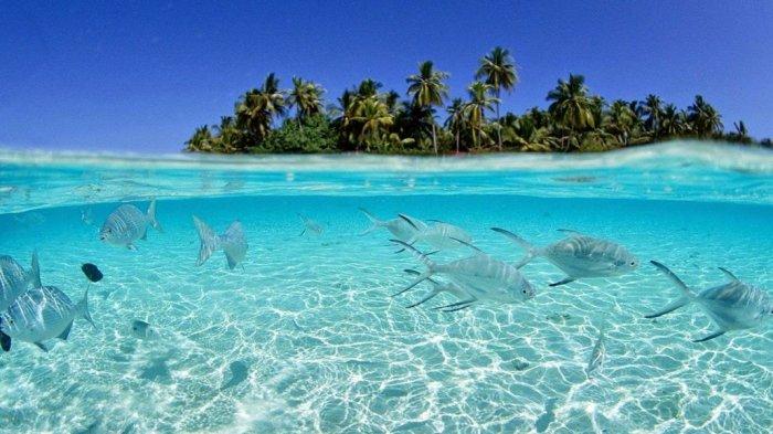 Pulau Sumsum
