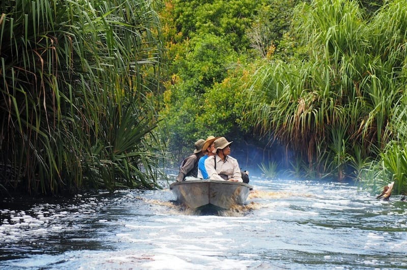 Sebangau National Park