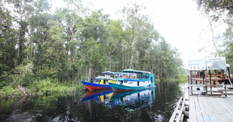 Sungai Sekonyer