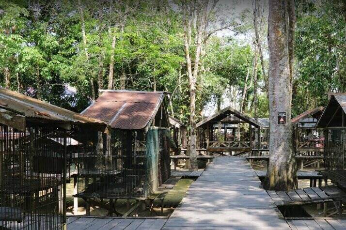 Taman Kumkum