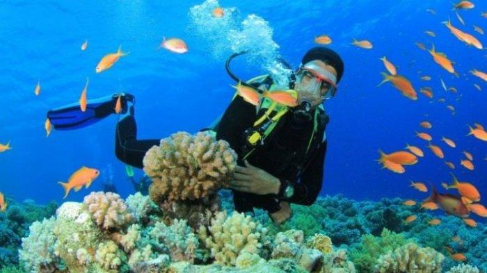 Taman Laut Tobotobo
