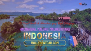 Tempat Wisata Di Halmahera | Molly Wisata 2024