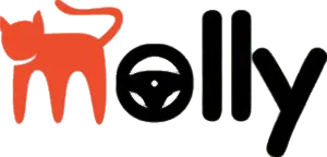 Paket Wisata, Gathering, Tour dan Liburan Murah + Sewa Mobil