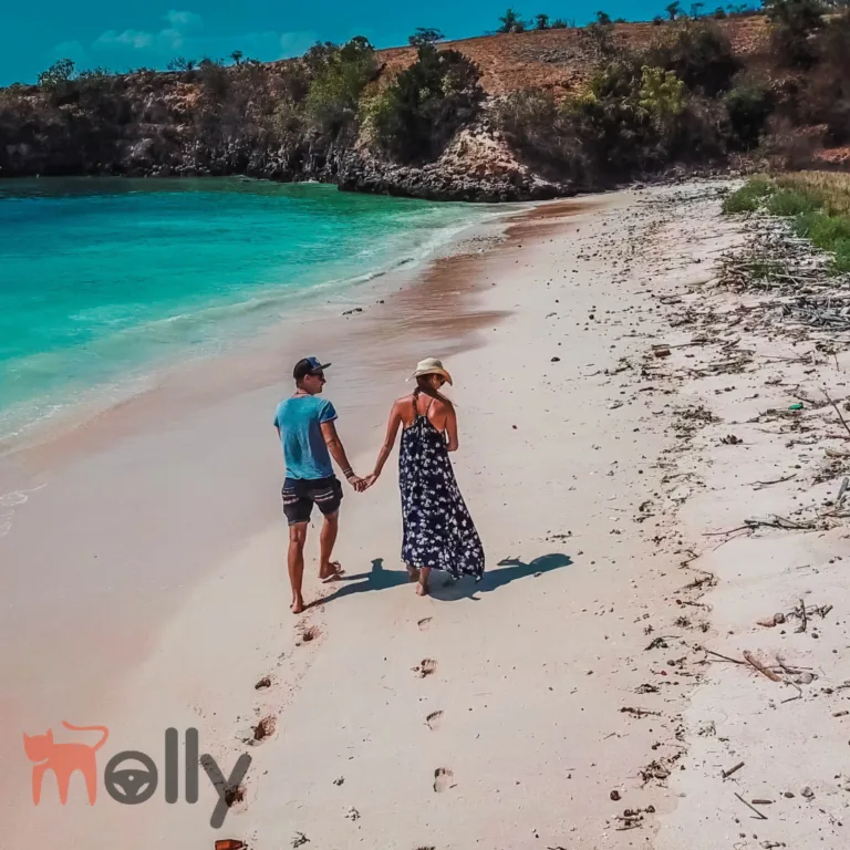 ❤️ Paket Wisata Lombok Murah | Mollyrentcar 2026