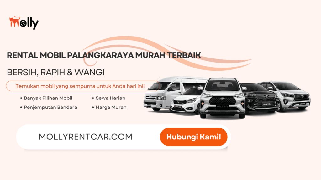 Rental Mobil Palangkaraya Murah