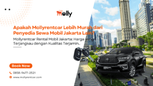 Apakah Mollyrentcar Lebih Murah dari Penyedia Sewa Mobil Jakarta Lain