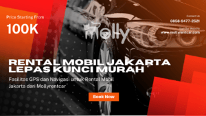 Fasilitas GPS dan Navigasi untuk Rental Mobil Jakarta dari Mollyrentcar