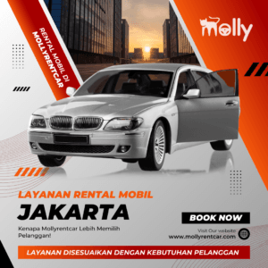 Layanan Rental Mobil di Jakarta: Kenapa Mollyrentcar Lebih Memilih Pelanggan