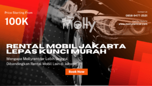 Mengapa Mollyrentcar Lebih Unggul Dibandingkan Rental Mobil Lain di Jakarta