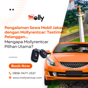 Pengalaman Sewa Mobil Jakarta dengan Mollyrentcar Testimoni Pelanggan