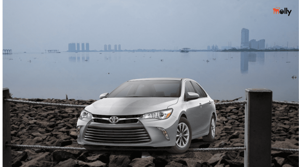 Layanan Mobil Pengantin dan Liburan Mewah Jakarta Utara Molly Rent Car Layanan Mobil Pengantin dan Liburan Mewah Jakarta Utara Molly Rent Car