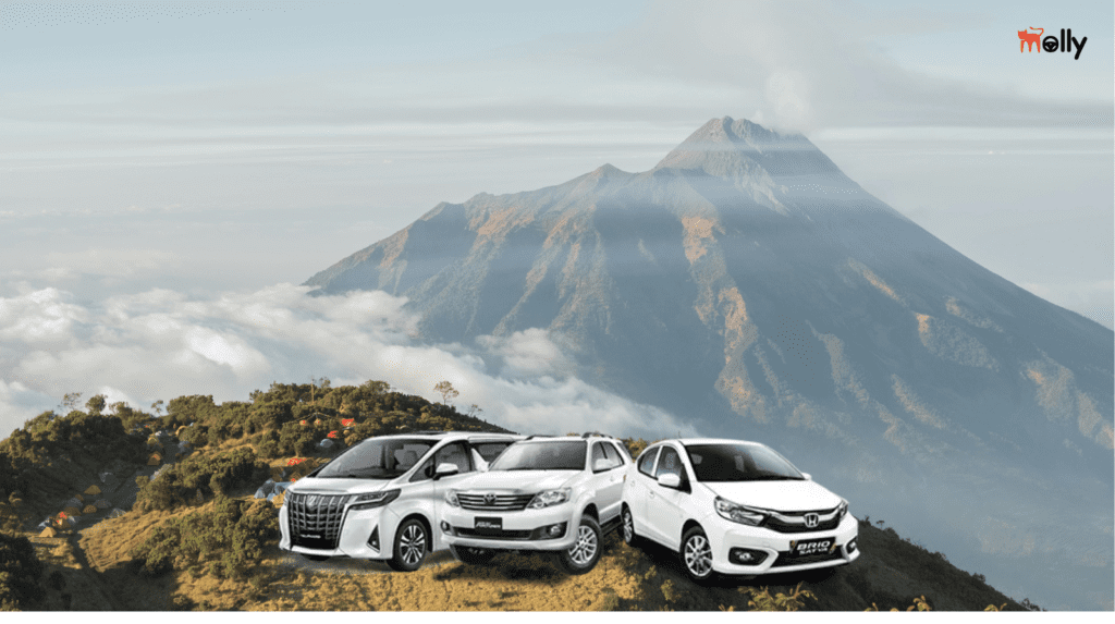 Panduan Wisata dan Sewa Mobil Bogor 2026 Molly Rent Car