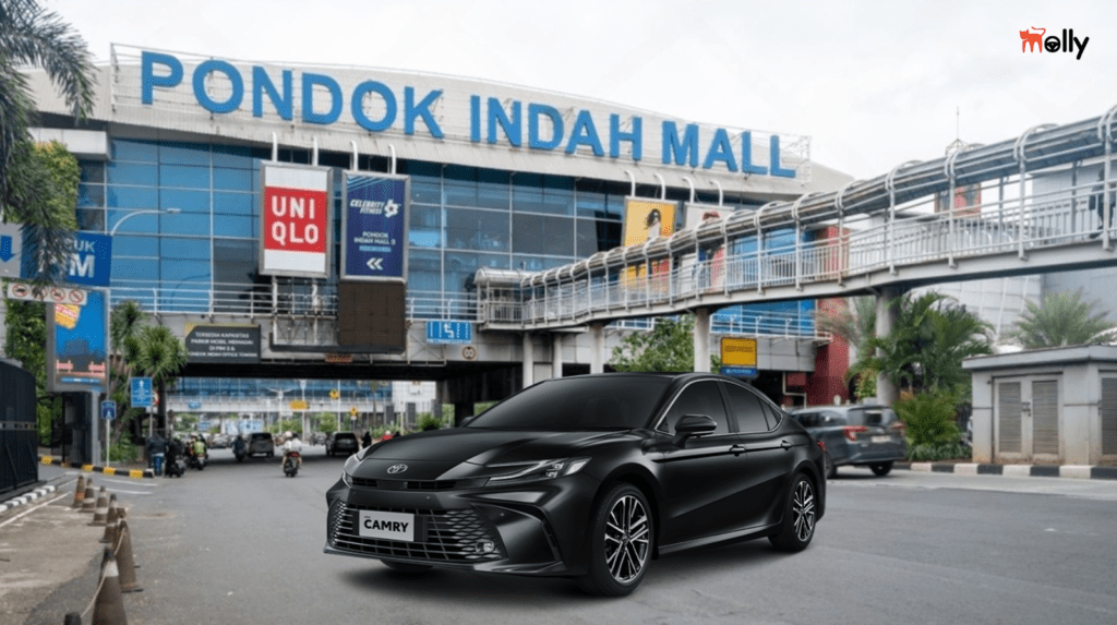 Panduan Wisata dan Sewa Mobil Jakarta Selatan 2026 Molly Rent Car