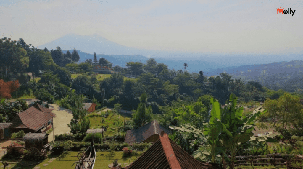 Pemandangan Alam Bogor dengan Layanan Transportasi Molly Rent Car
