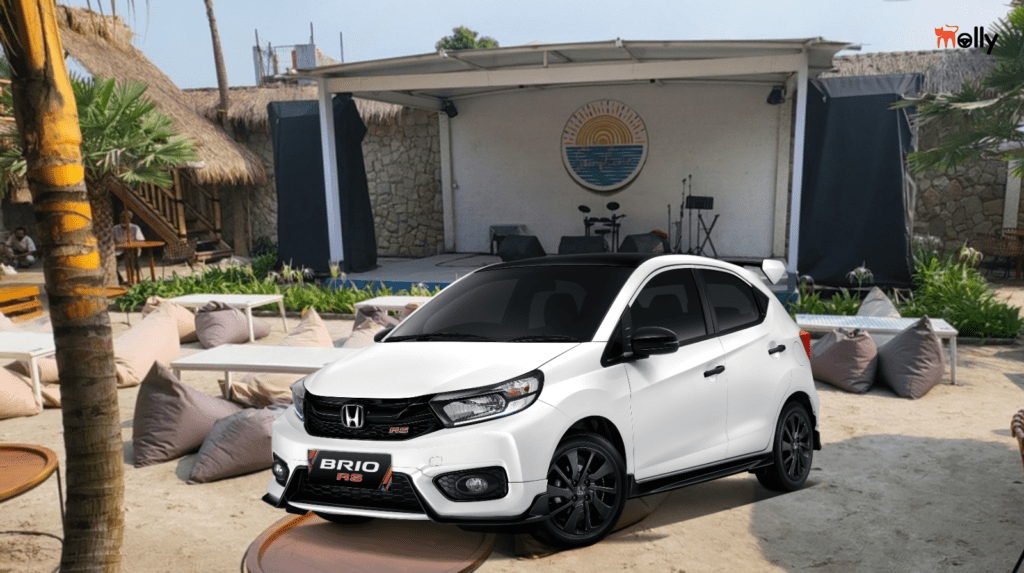 Rental Mobil Bogor untuk Kulineran dan Wisata Kota Molly Rent Car