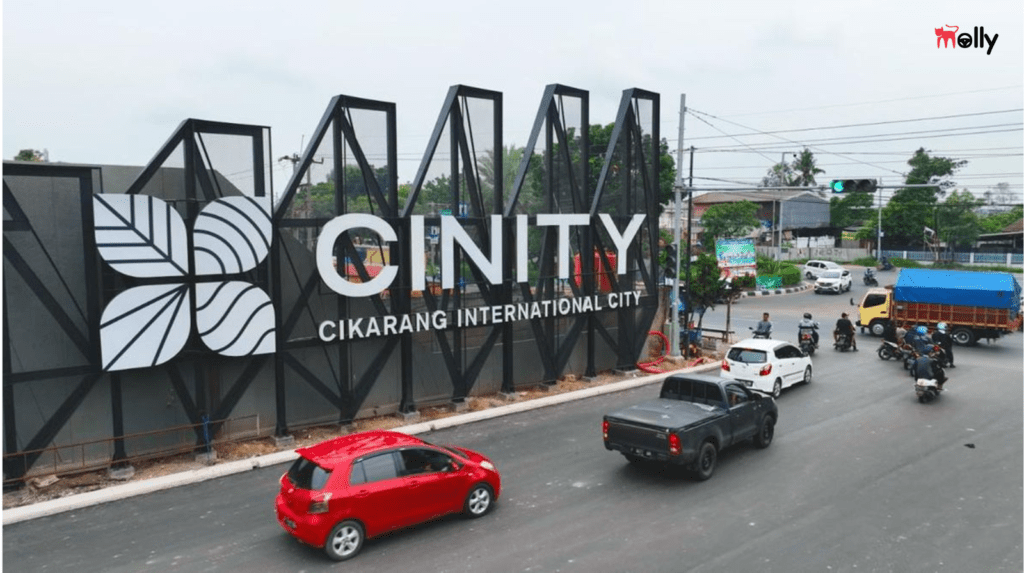 Rental Mobil Operasional Perusahaan Bekasi Cikarang - Molly Rent Car