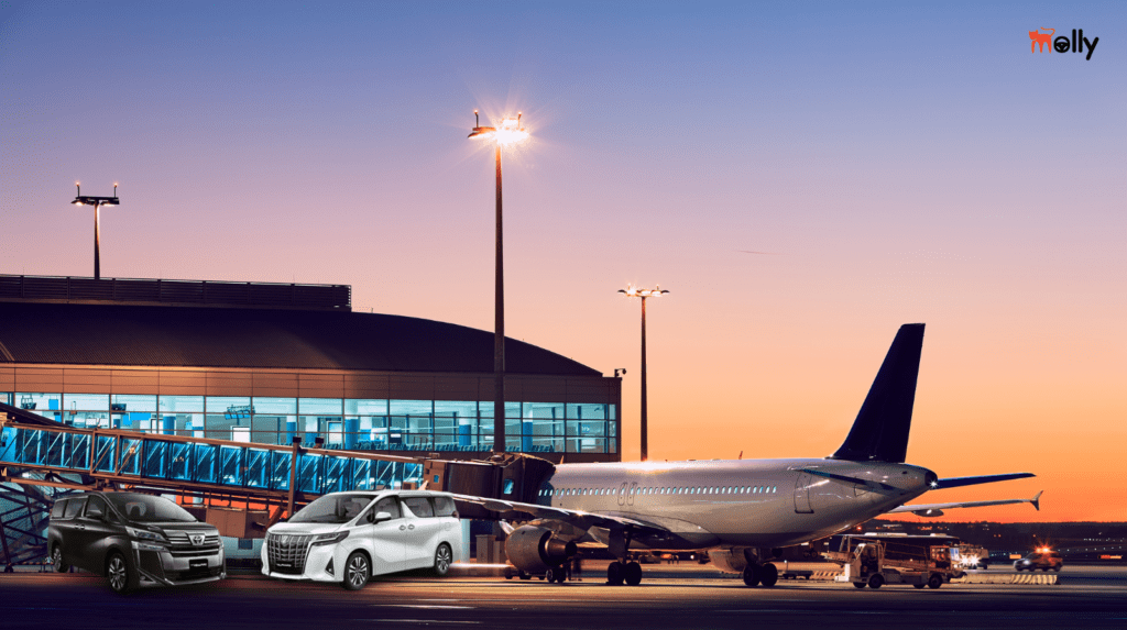 Sewa Mobil Tangerang Antar Jemput Bandara Soetta Molly Rent Car