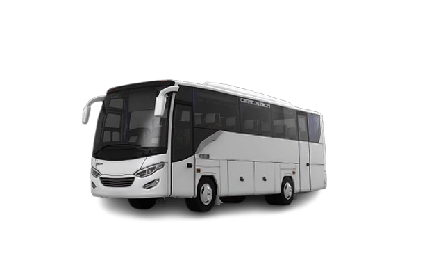 Rental Medium Bus Indonesia