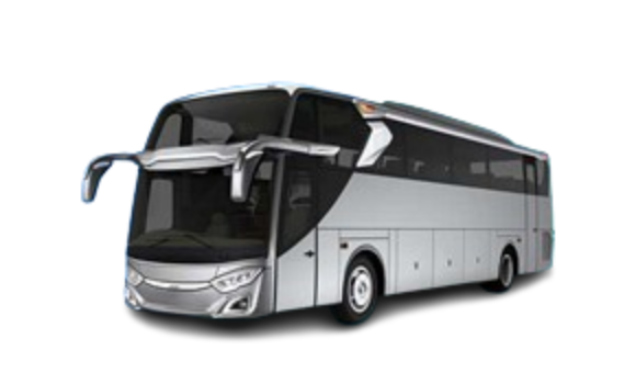big bus