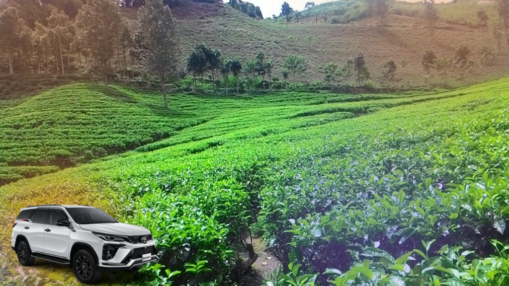 Sewa Mobil Blitar Spesialis Jalur Tanjakan Sirah Kencong dan Jalur Lintas Selatan JLS Sewa Mobil Blitar Spesialis Jalur Tanjakan Sirah Kencong dan Jalur Lintas Selatan JLS