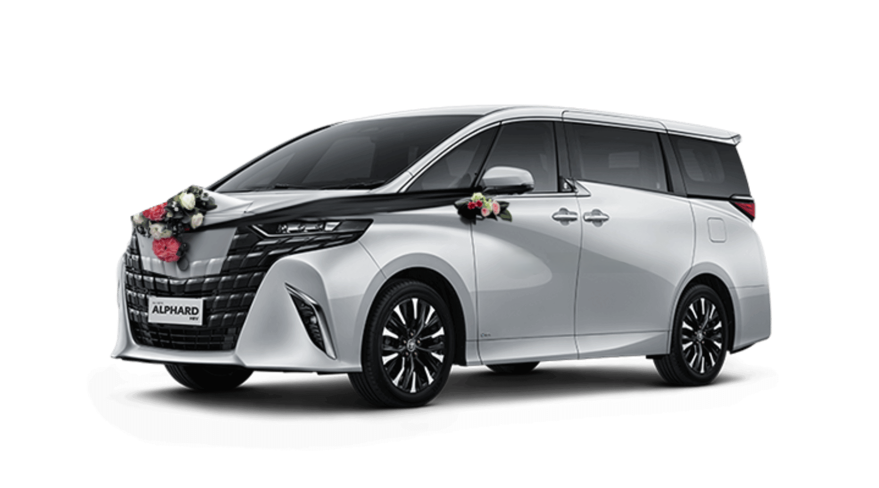 Alphard Wedding